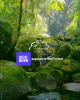 Donation - WeForest